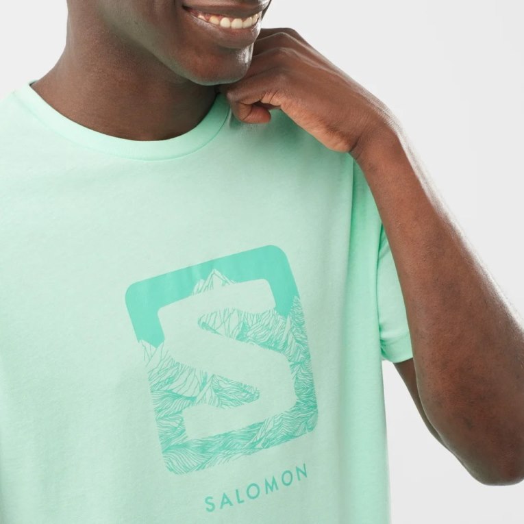 Mint Salomon Outlife Logo Short Sleeve Men's T-Shirts | IE IK1592